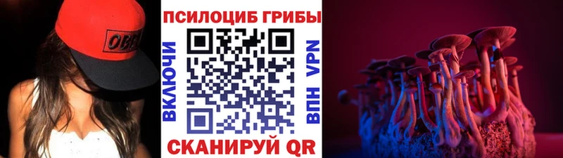 Псилоцибиновые грибы мицелий  Карпинск 